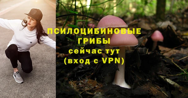 mix Алексеевка